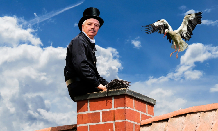 St. Louis Chimney From Heatwaves to Frost: Seasonal Tips